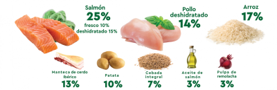 Petklan Cachorros ,Salmon y Pollo