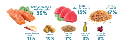 Petklan Salmon y Atun