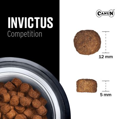 Canun Premium Invictus Competition