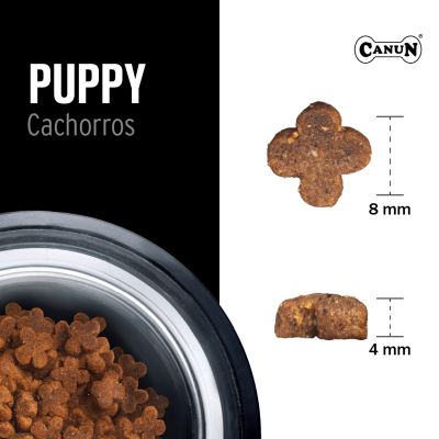 Canun Premium puppy