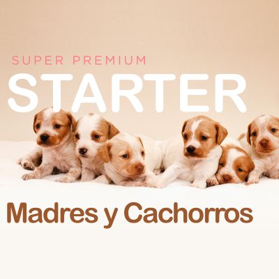 Canun Starte Premium Cachorros Puppy