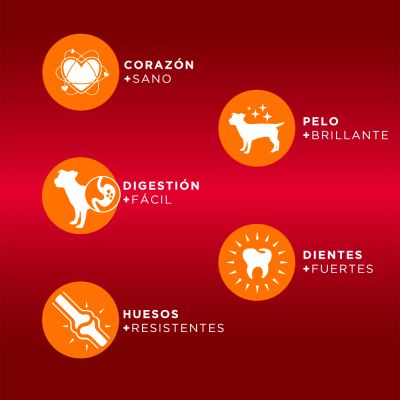 Canun Premium Invictus Competition