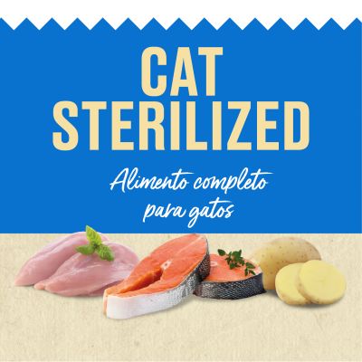 Canun Gato Sterilized