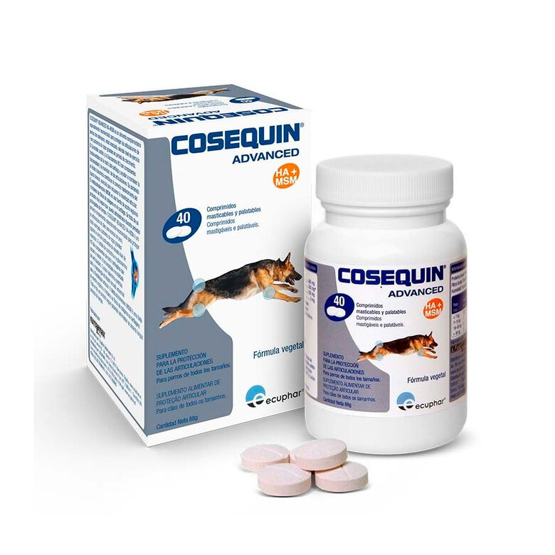 Cosequin