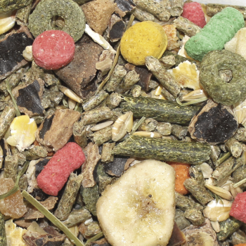 Conejo Enano con Frutas y Verduras