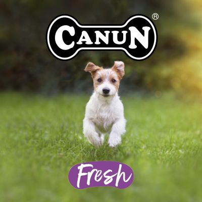 Canun Small Breeds