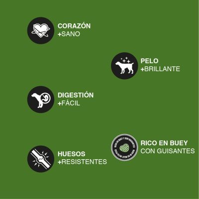 Canun Balance Dog Hunter Alta Energia