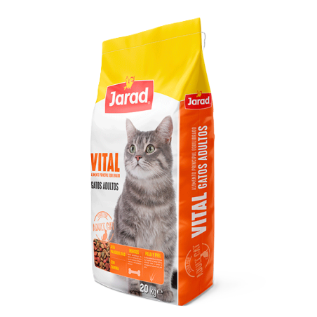 Jarad Cat Gatos Vital
