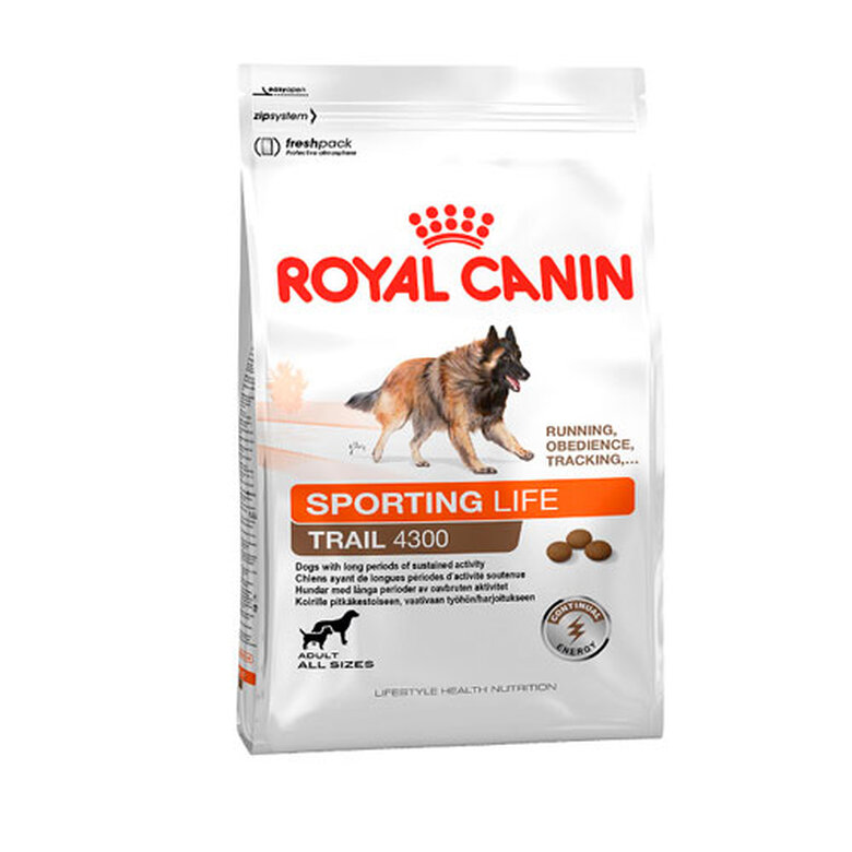 Royal Canin  Energy 4300