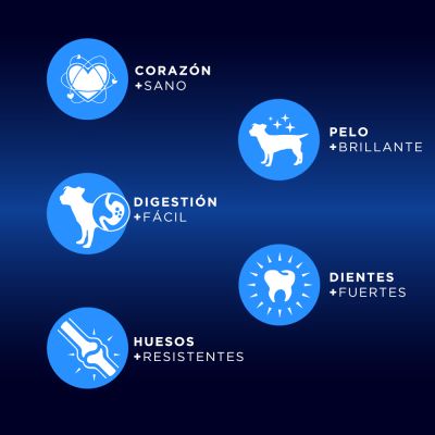 Canun Premium Trabajo Adult