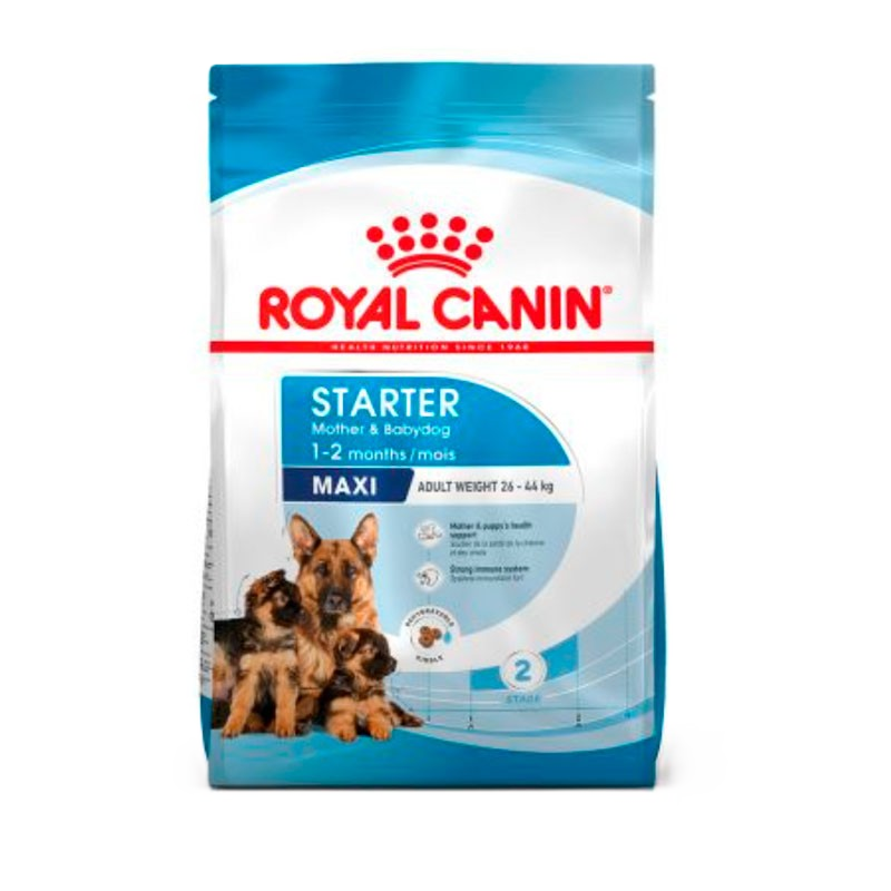 Royal canin maxi starte mother & babydog 